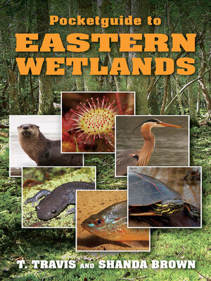 cover image of Pocketguide to Eastern Wetlands